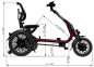 Preview: VAN RAAM Easy Rider Kompakt 844Wh bordeaux POWER EDITION